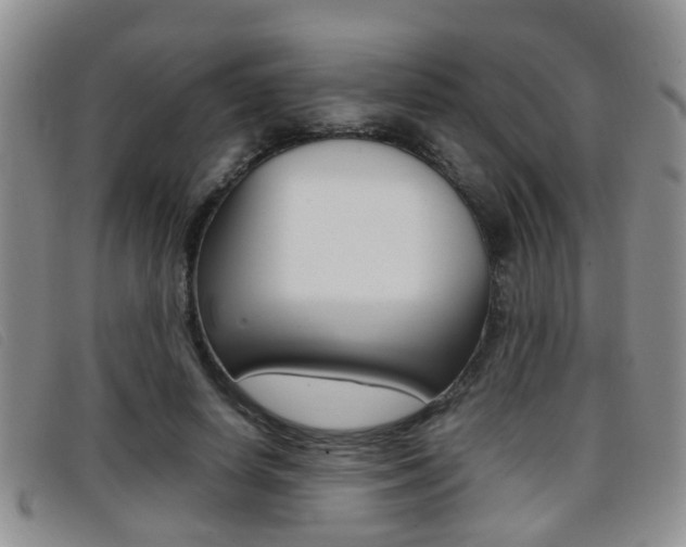 X0000096730642200802051130