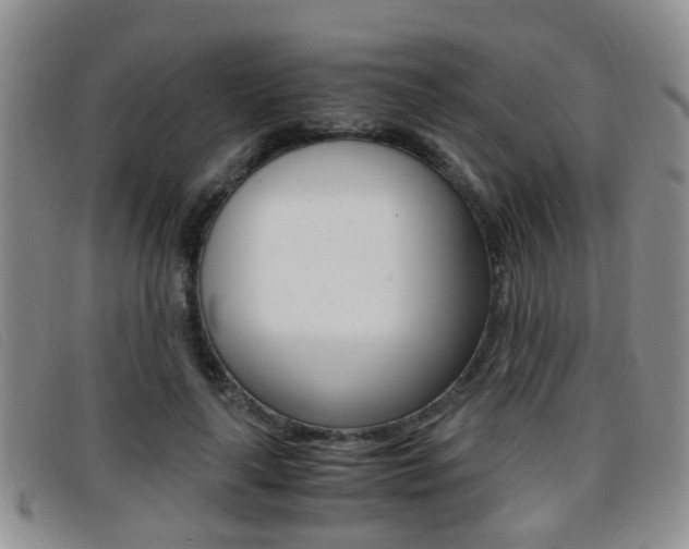 X0000096730643200802051130