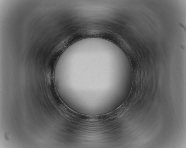 X0000096730644200802051130