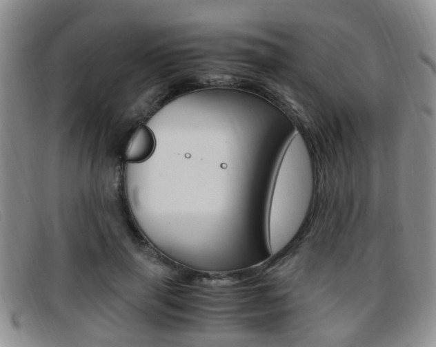 X0000096730645200802051130