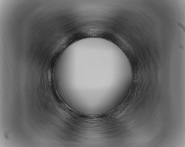 X0000096730646200802051130