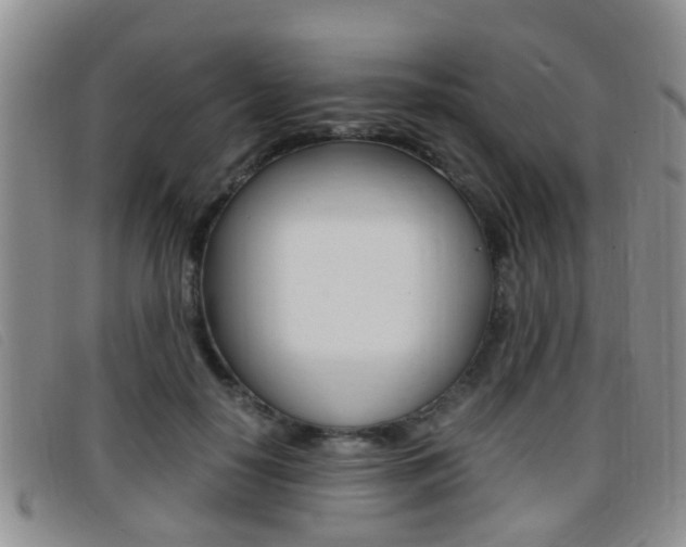 X0000096730650200802051130