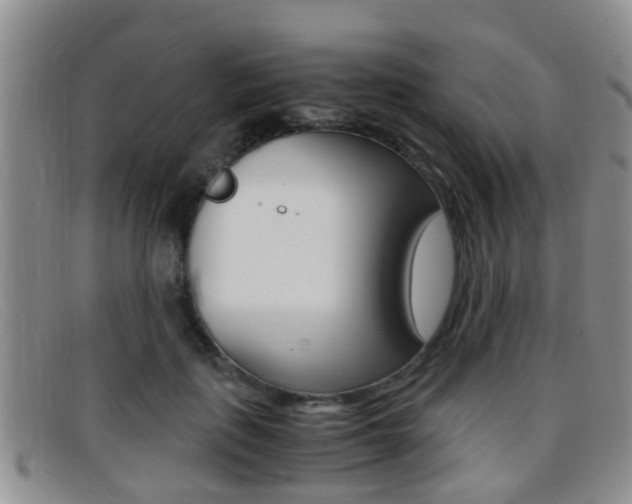 X0000096730651200802051130