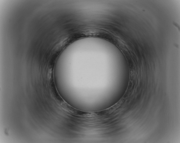X0000096730652200802051130