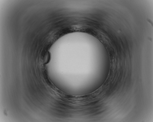 X0000096730653200802051130