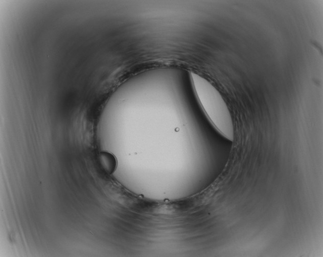 X0000096730656200802051130