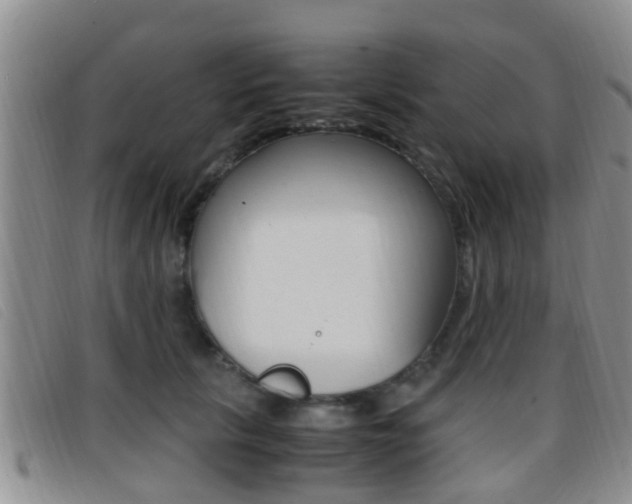 X0000096730657200802051130