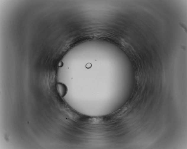 X0000096730660200802051130
