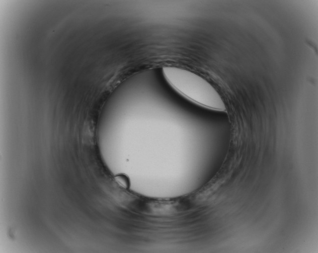 X0000096730661200802051130