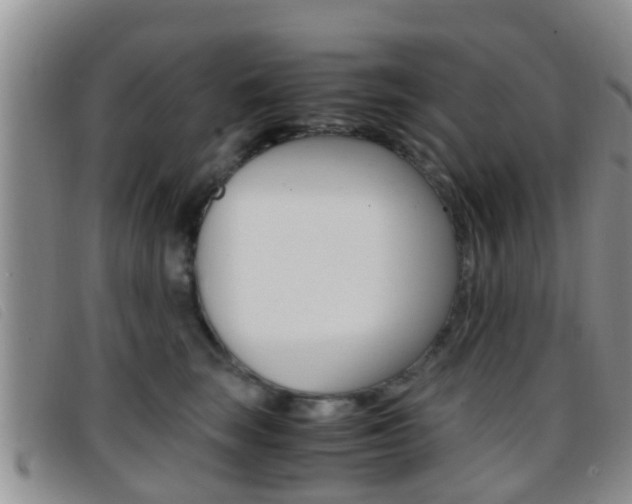 X0000096730663200802051130