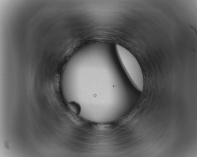 X0000096730664200802051130