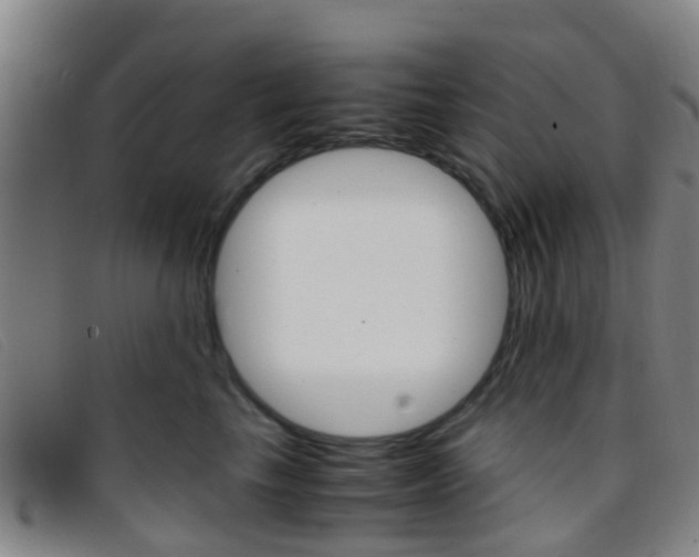 X0000096730665200802051130