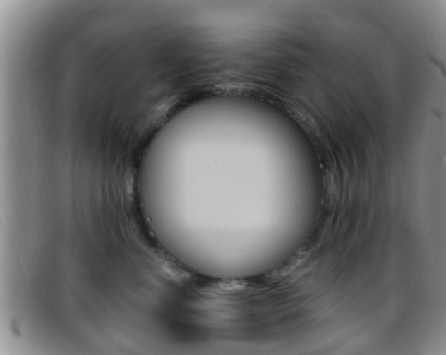 X0000096730668200802051130
