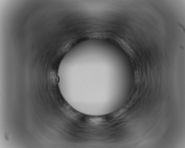 X0000096730669200802051130