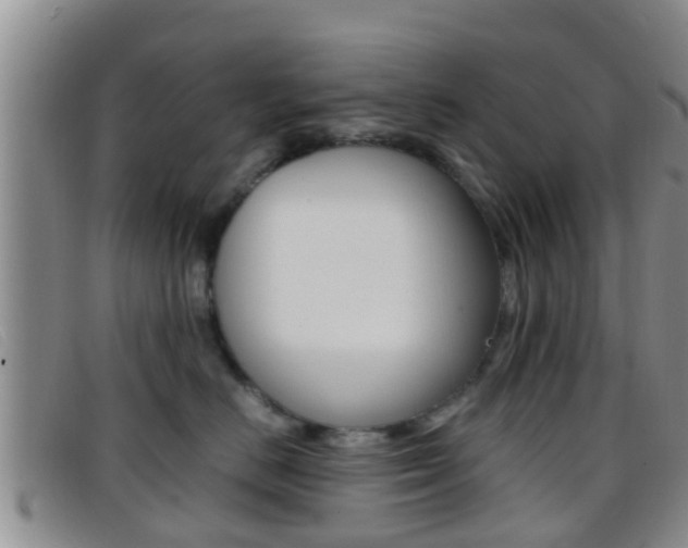 X0000096730670200802051130