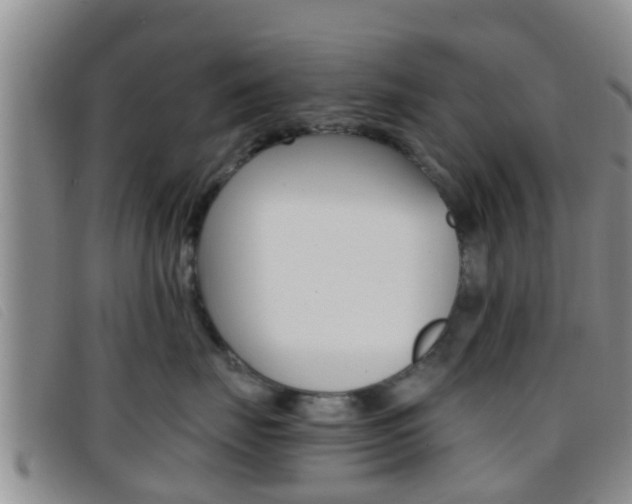 X0000096730671200802051130