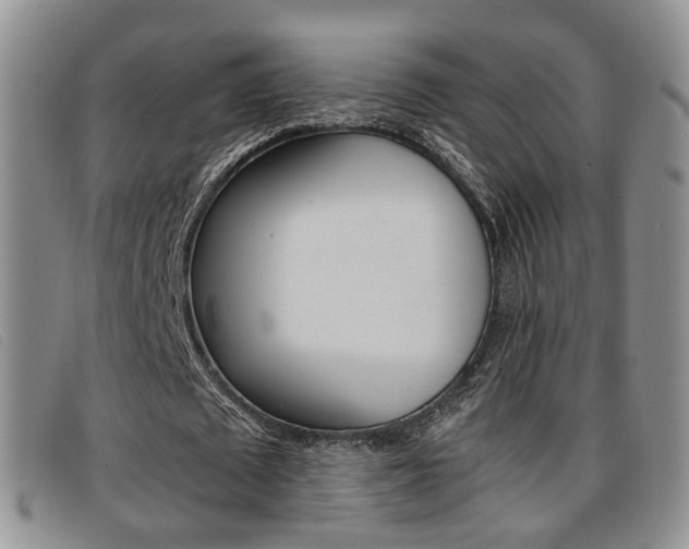 X0000096730673200802051129