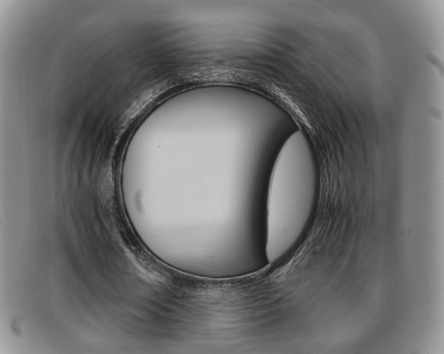 X0000096730674200802051129