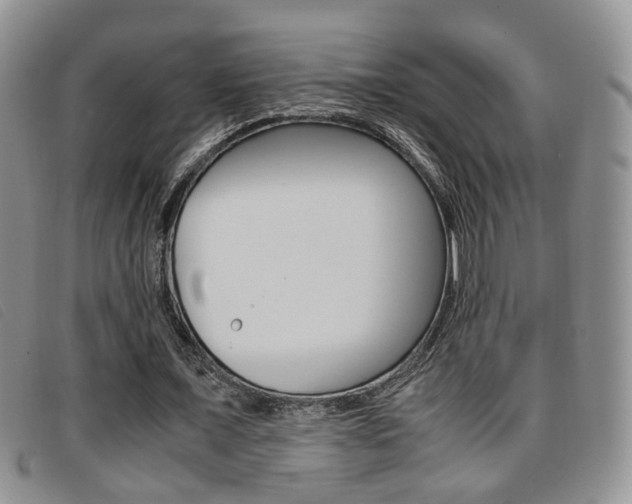 X0000096730675200802051129