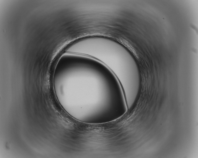 X0000096730676200802051129