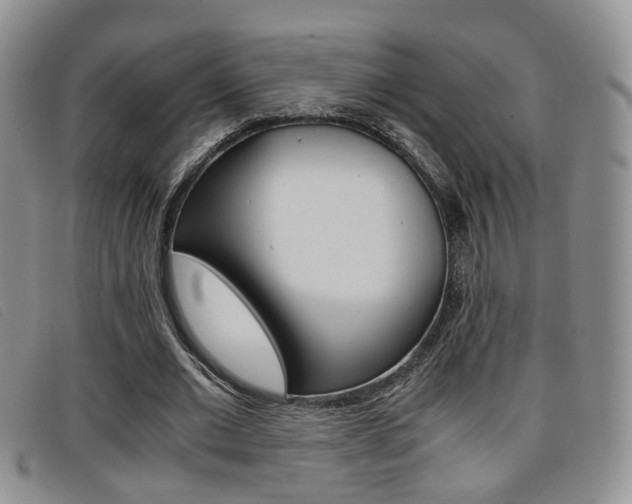 X0000096730677200802051129