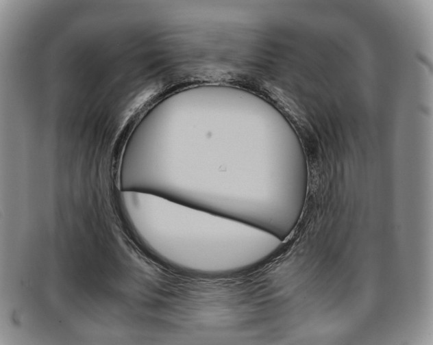 X0000096730679200802051129
