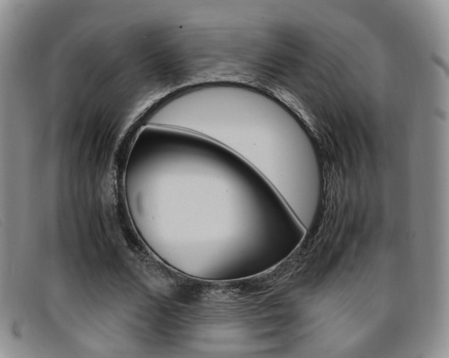 X0000096730680200802051129