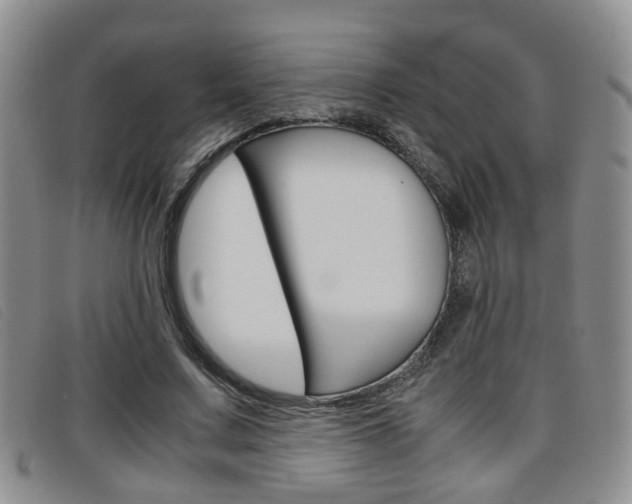 X0000096730683200802051129
