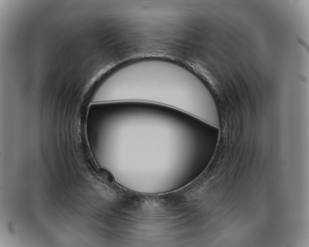 X0000096730684200802051129