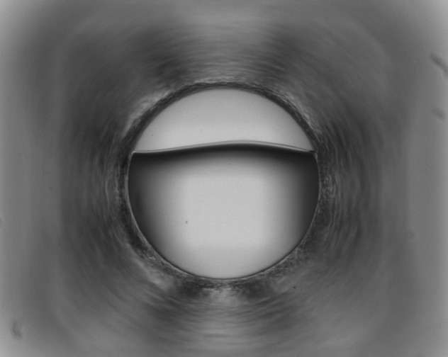 X0000096730688200802051129