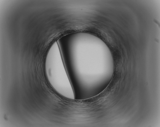 X0000096730689200802051129