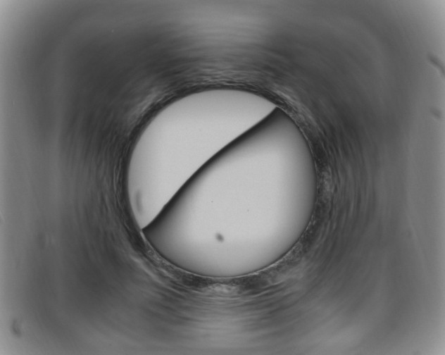 X0000096730691200802051129