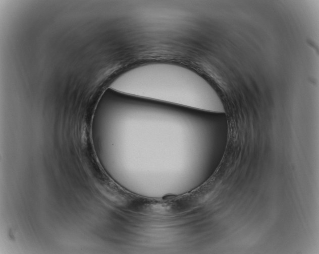 X0000096730692200802051129