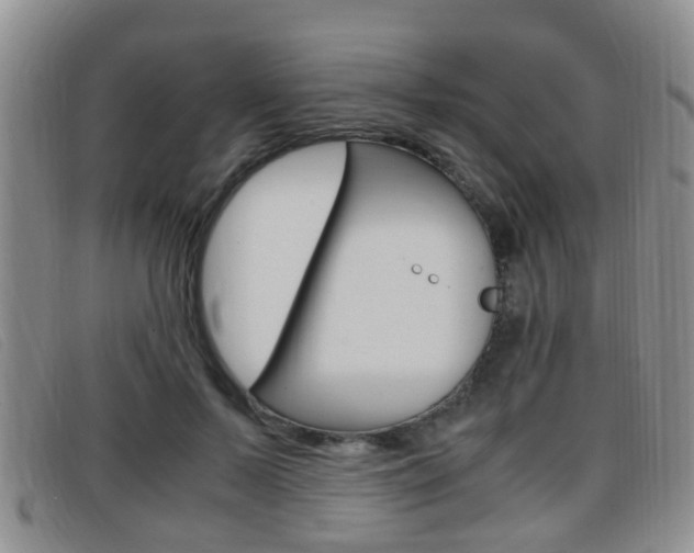 X0000096730695200802051129