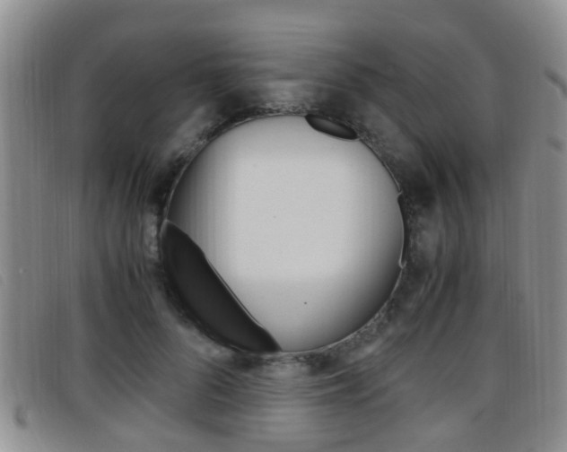 X0000096730696200802051129