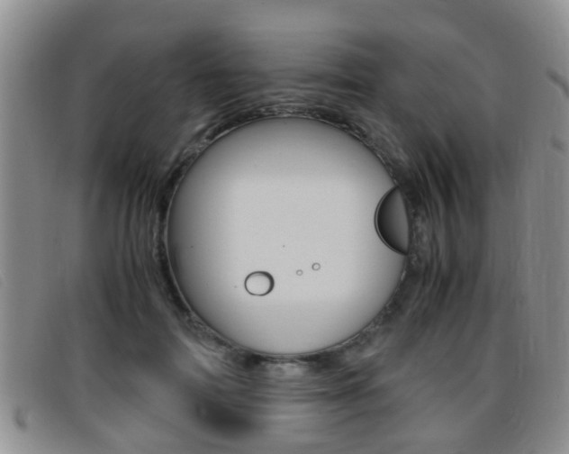 X0000096730698200802051129