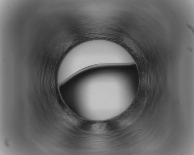 X0000096730700200802051129