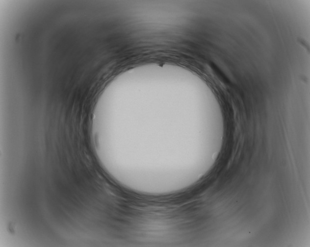 X0000096730701200802051129