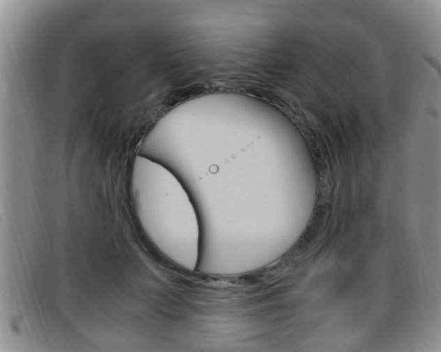 X0000096730703200802051129