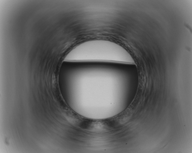 X0000096730704200802051129