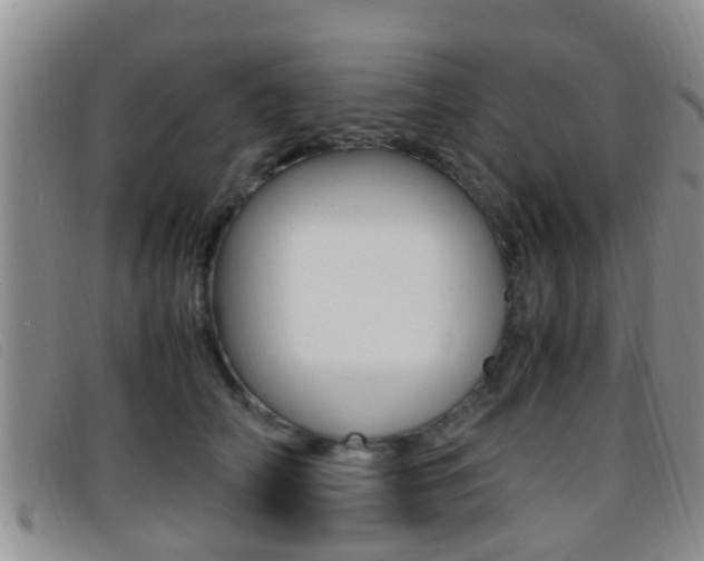 X0000096730706200802051129