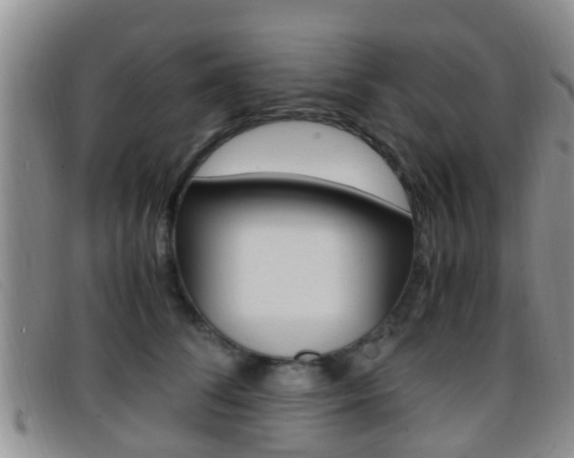 X0000096730708200802051129