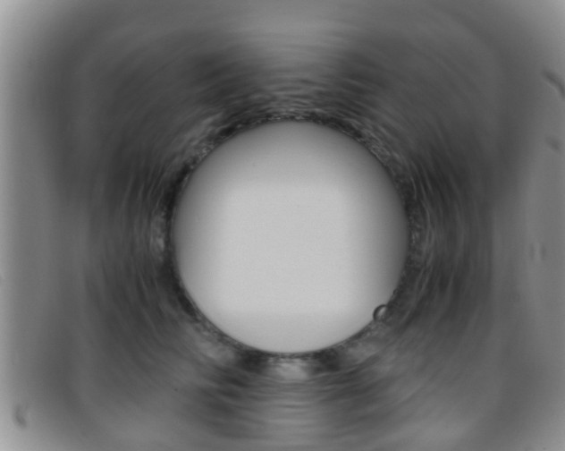 X0000096730710200802051129