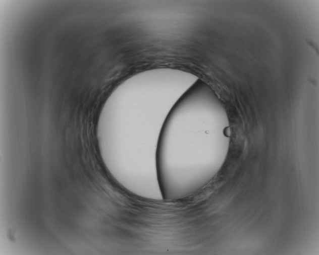 X0000096730711200802051129