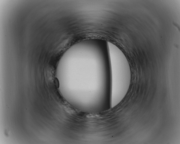 X0000096730712200802051129