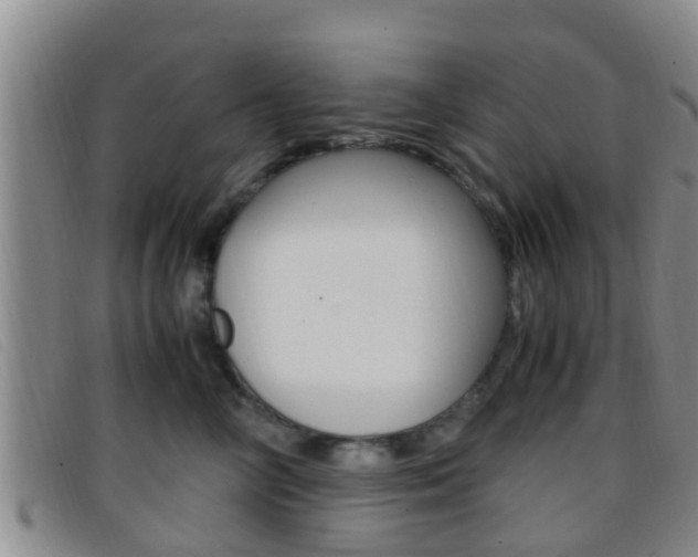 X0000096730714200802051129