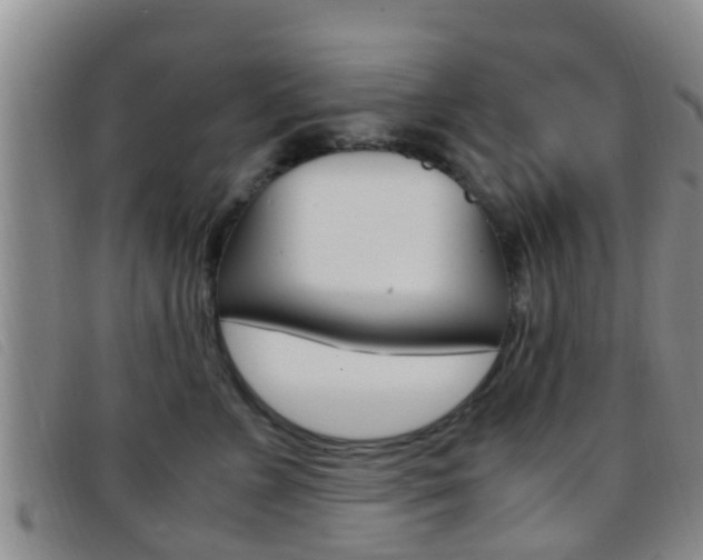 X0000096730715200802051129