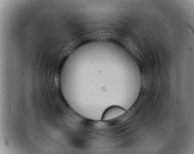 X0000096730718200802051129