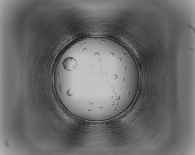 X0000096730721200802051128