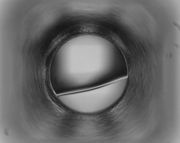 X0000096730722200802051128